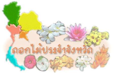 ดอกไม้ประจำจังหวัด